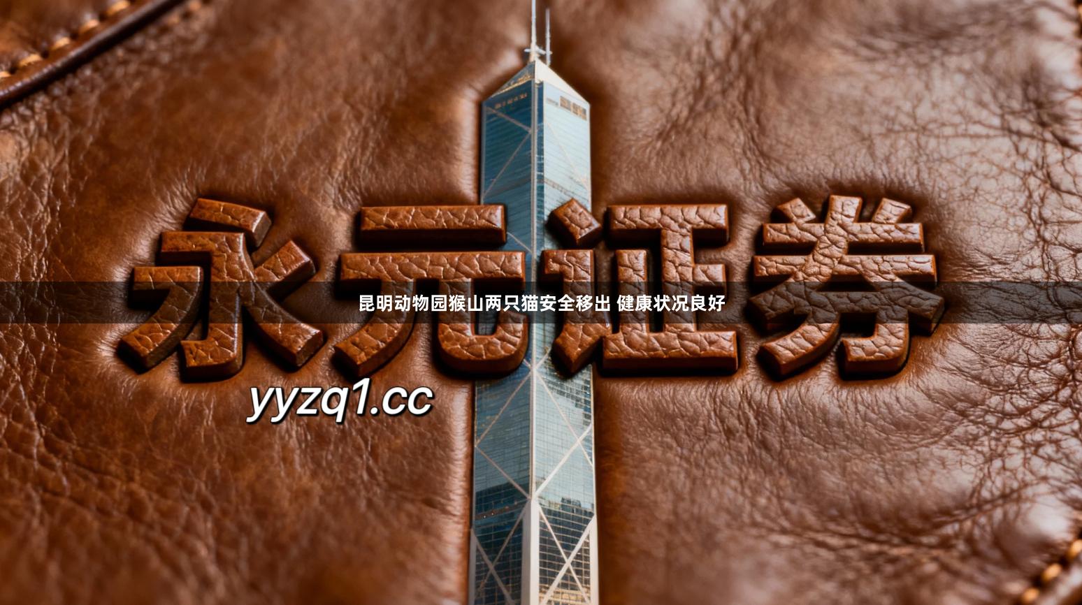 昆明动物园猴山两只猫安全移出 健康状况良好